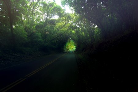 Pali highway, Honolulu, United states