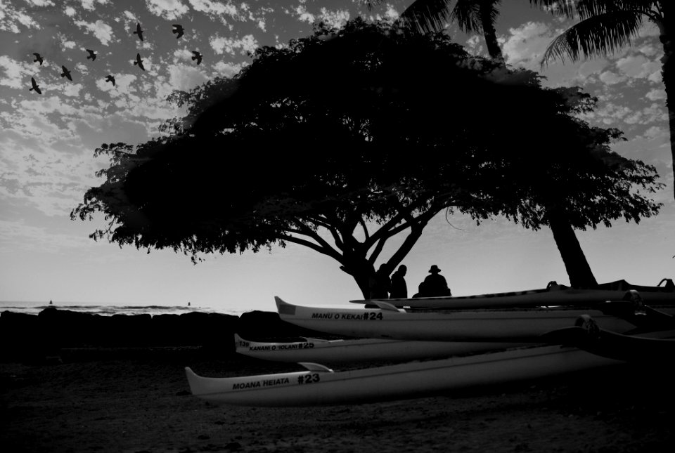 Waik k , United states, Tranquil