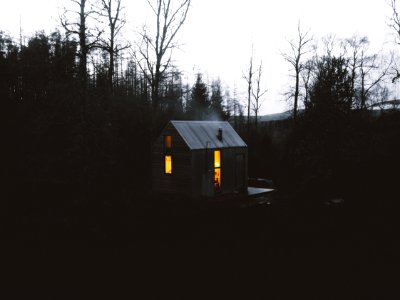 grey wooden shack photo