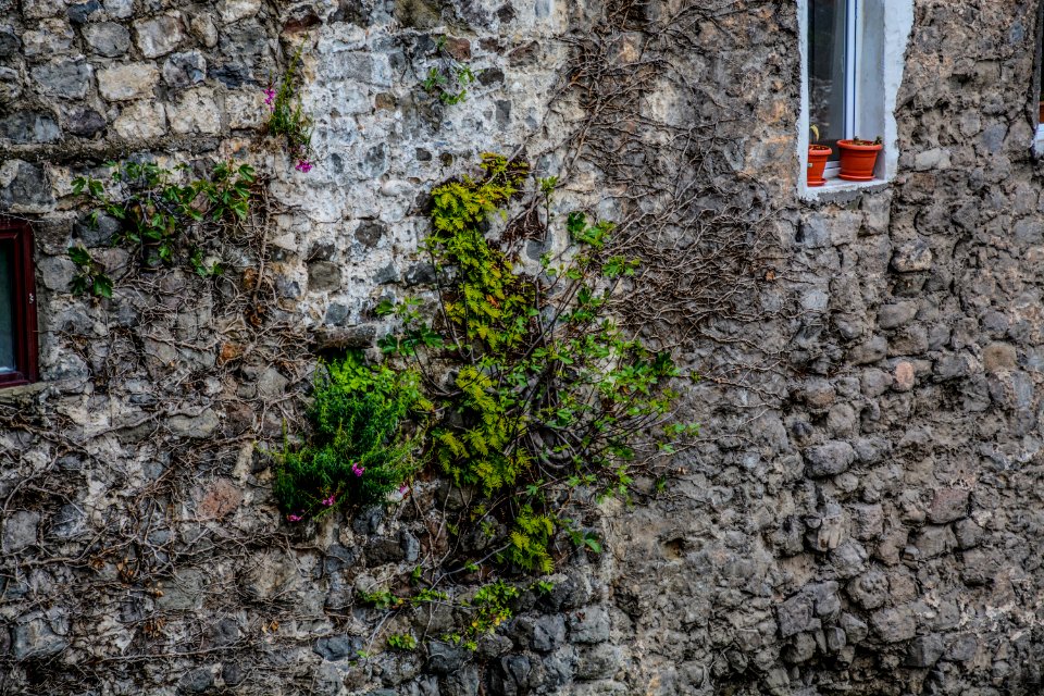 Ortahisar mahallesi, Turkey, Ortahisar photo