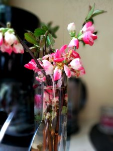 Depth, Beauty, Dead