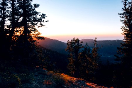 Mount pinos, United states, Trees mountain golden hour light haze photo