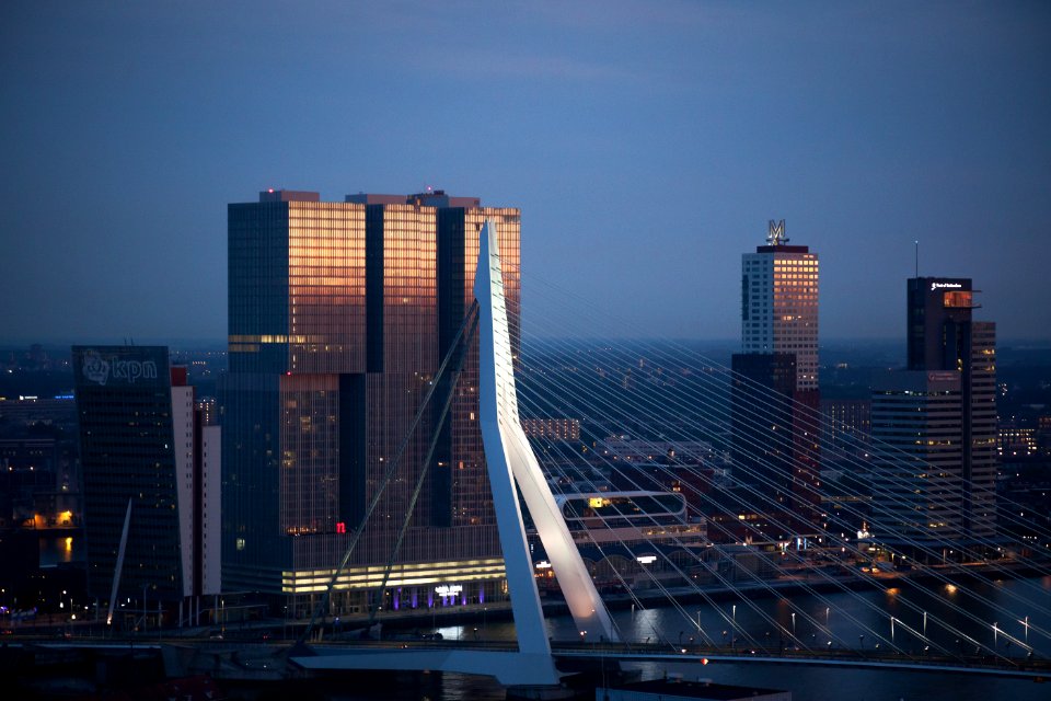 white full-suspension bridge near curtain wall buildings at night time