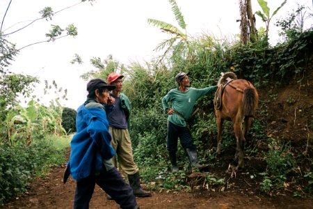 Mt. batulao, Philippines, Three