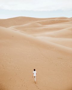 person walking on sand dune photo