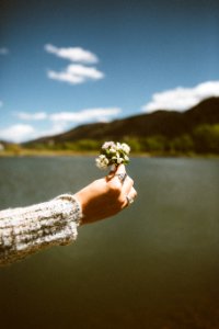 woman holding white petaled flowers photo