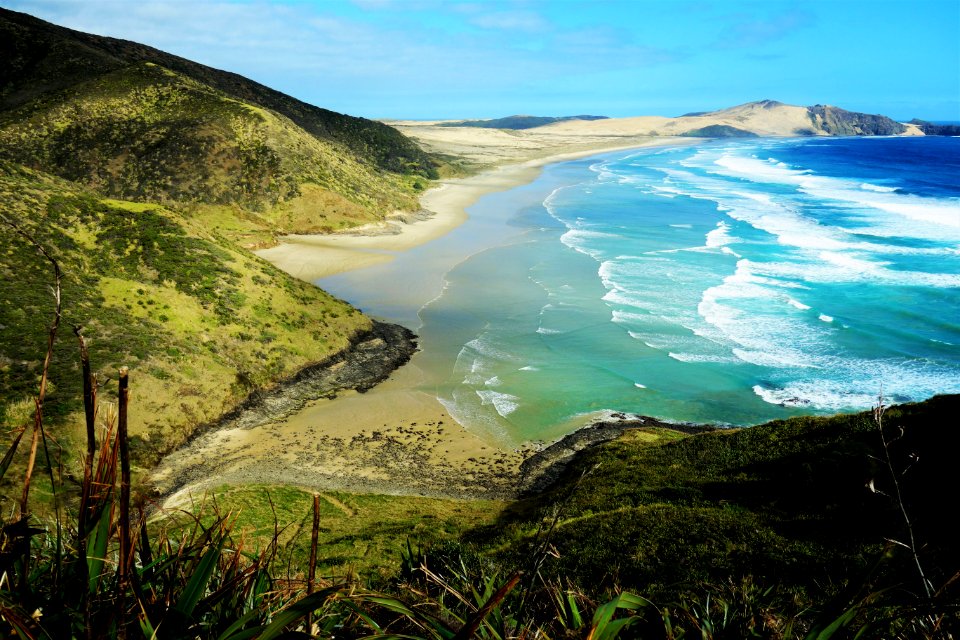 New zeal, Cape rienga