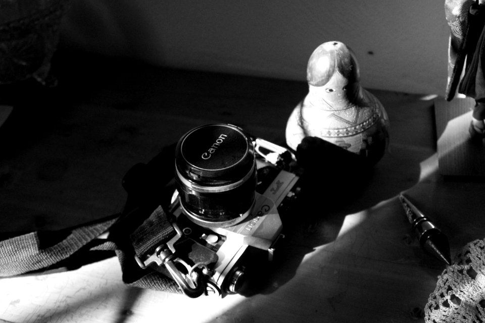 Camara, Heavy, Metal