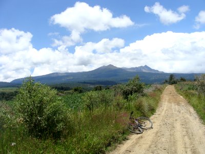 Bike, Road, Mountain