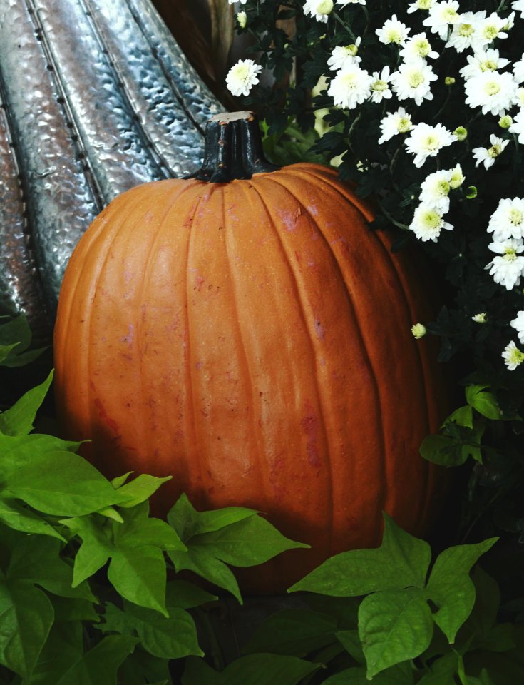 Seasons, Colors, Fall