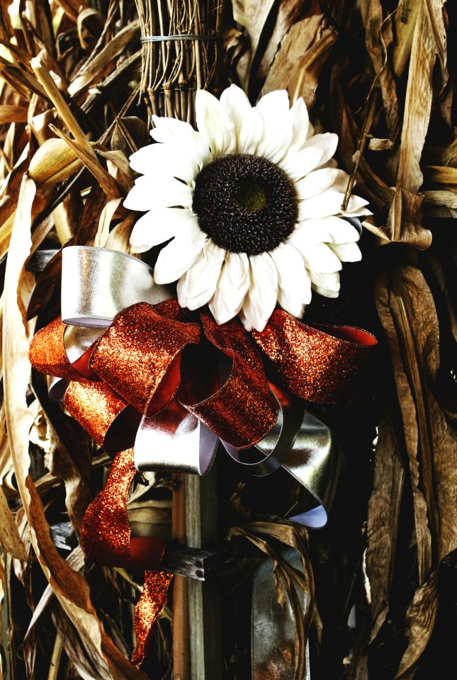 Floral, Sunflower, Fall