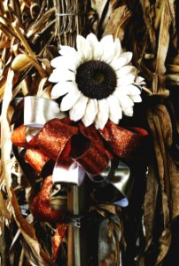 Floral, Sunflower, Fall