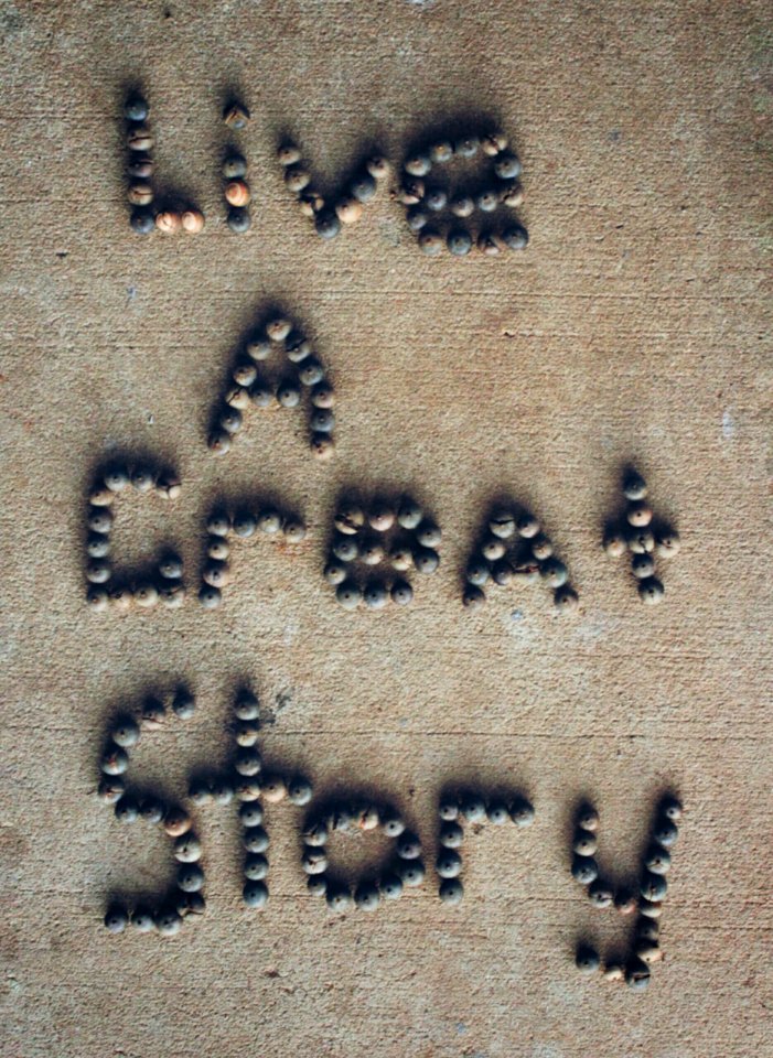 Quote, Nature, Acorns