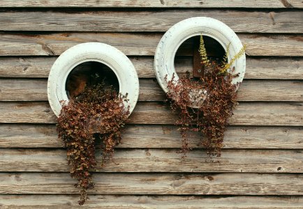 two white tires with dried leafs