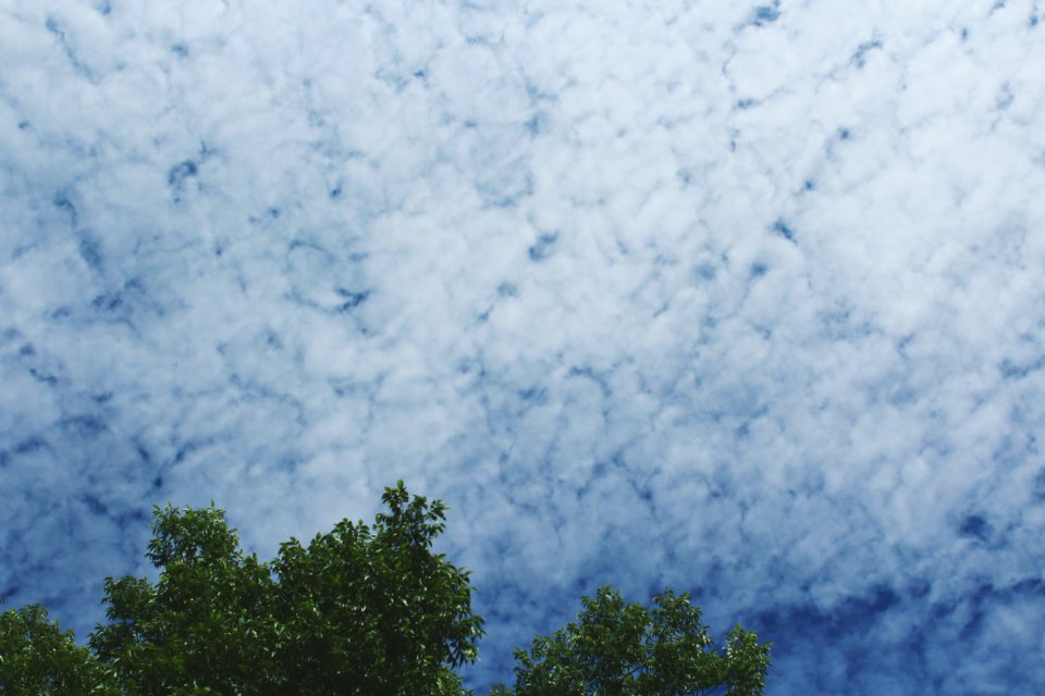 Environment, White, Blue