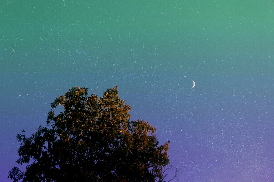 Makeday, Moon, Night