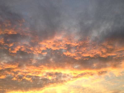 Miedzyrzec podlaski, Pol, Sunset