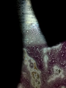 Background, Bubbles, Carwash