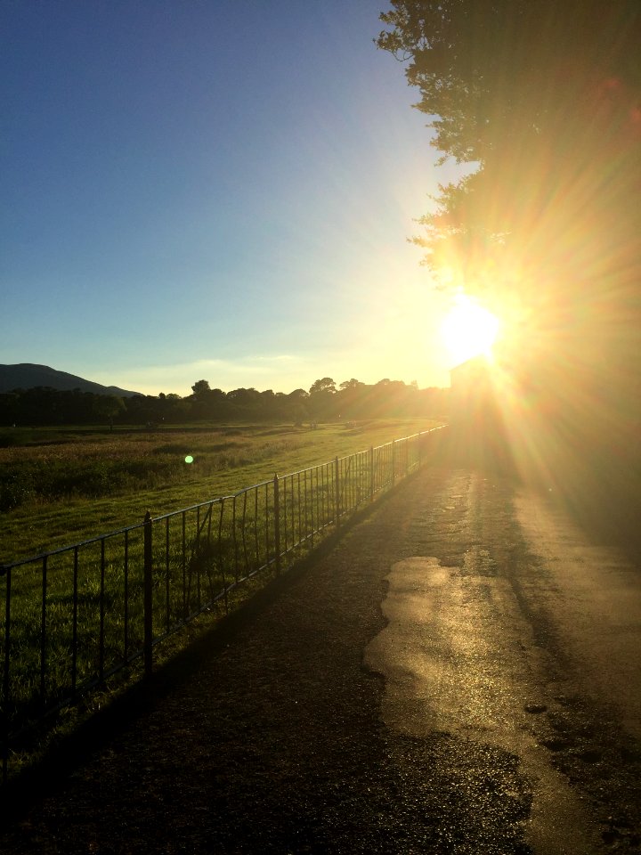 Sunlight, Exposure, Nature