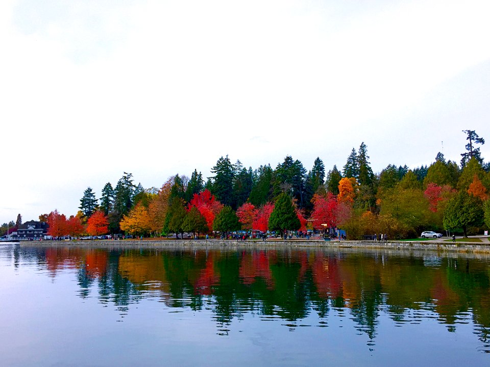 Vancouver, Canada, Trees
