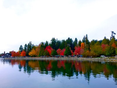 Vancouver, Canada, Trees