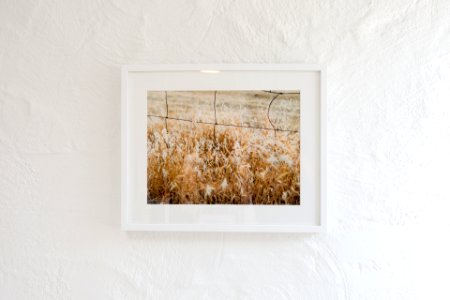 Frame, Wall, White photo