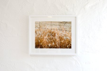 Frame, Wall, White
