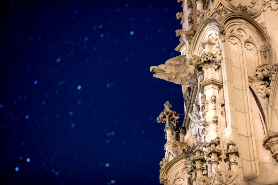 Konstanz, Germany, Gargoyle night  starry sky