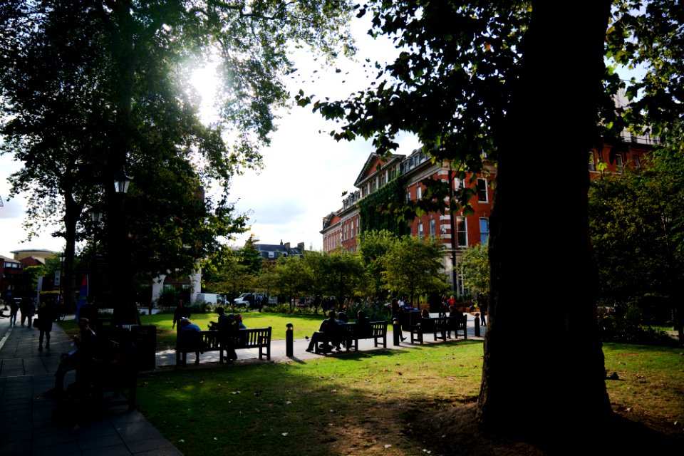 Kings college guys campus, London, United kingdom