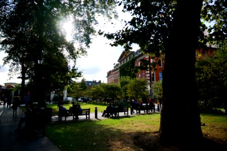 Kings college guys campus, London, United kingdom