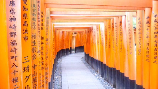 Japan, Fushimi inari taisha, Kytoshi