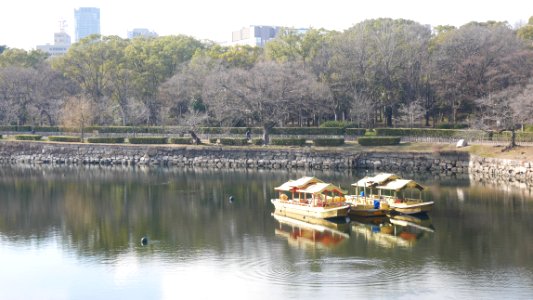 Japan, Osaka castle, saka shi photo