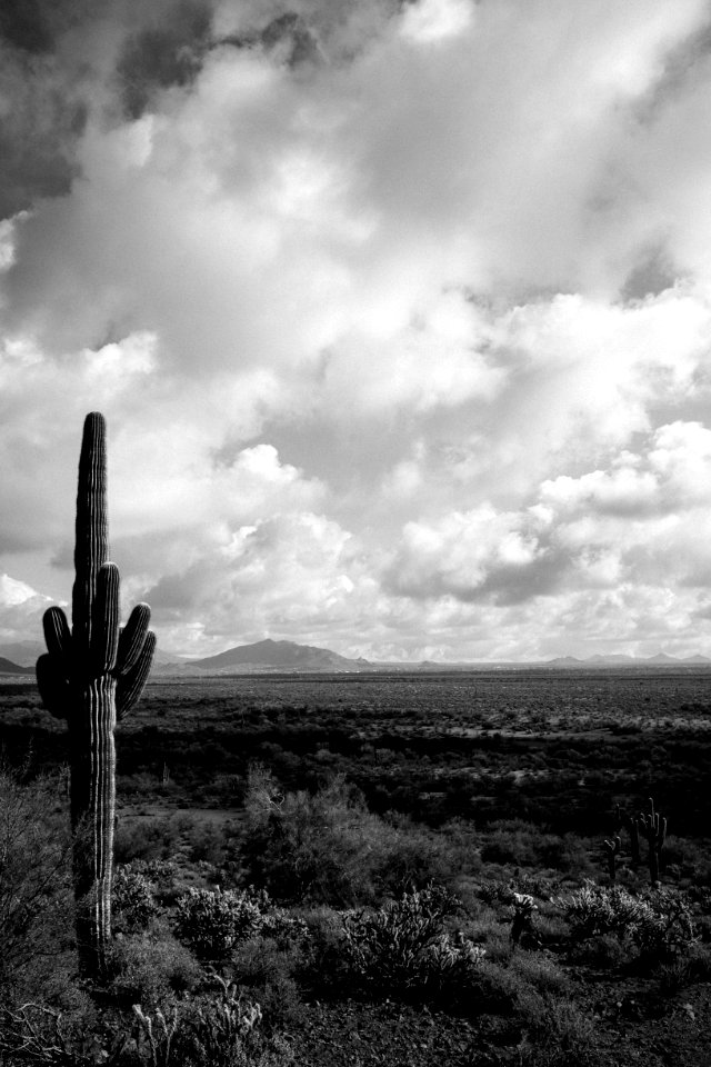 Apache wash, Phoenix, United states