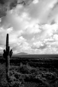 Apache wash, Phoenix, United states