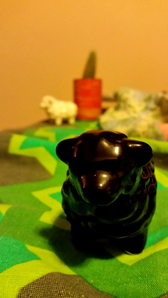 Cactus, Black sheep, Figurine
