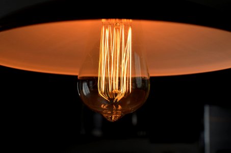 closeup photograph of light bulb