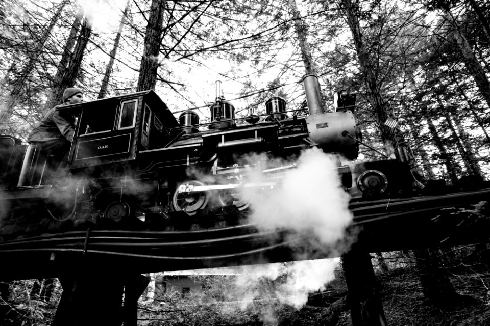 Steam train, Miniature train, Train