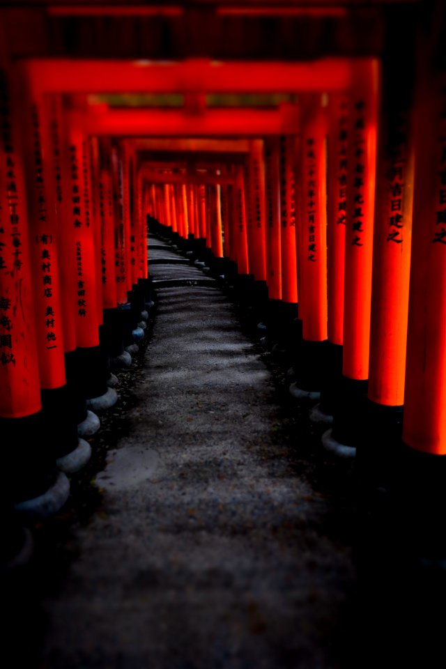 Japan, Fushimi inari shrine chaya, Ky to shi