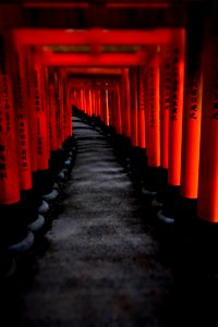 Japan, Fushimi inari shrine chaya, Ky to shi