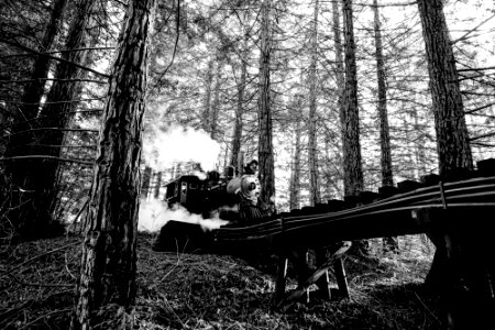 Miniature steam engine, Steam engine, Train