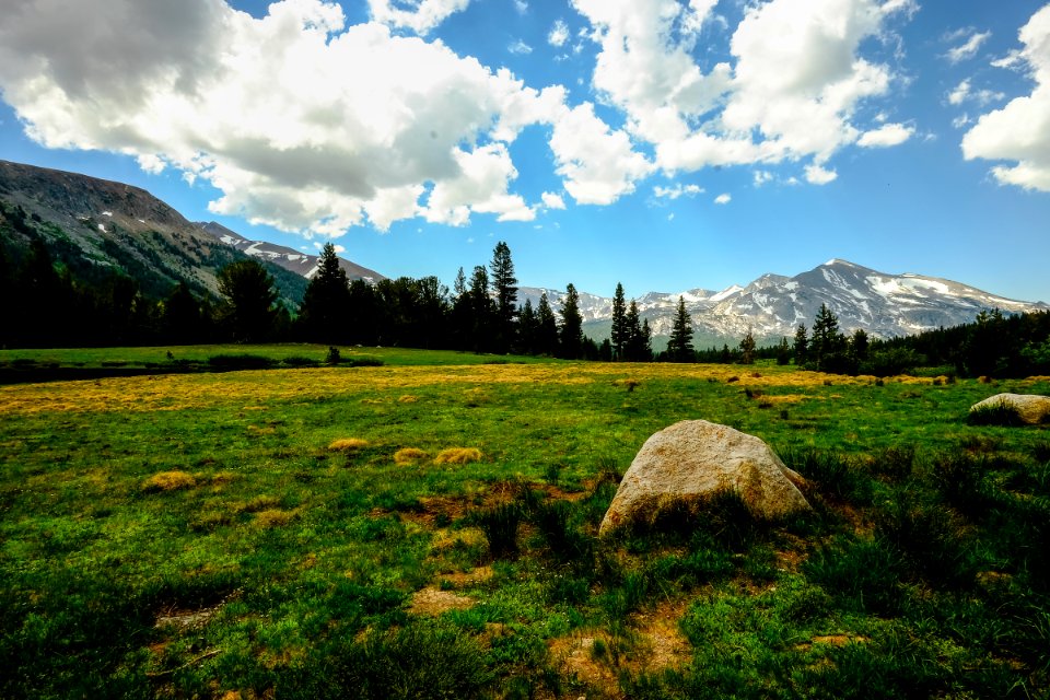 Yosemite national park, United states, Alpine