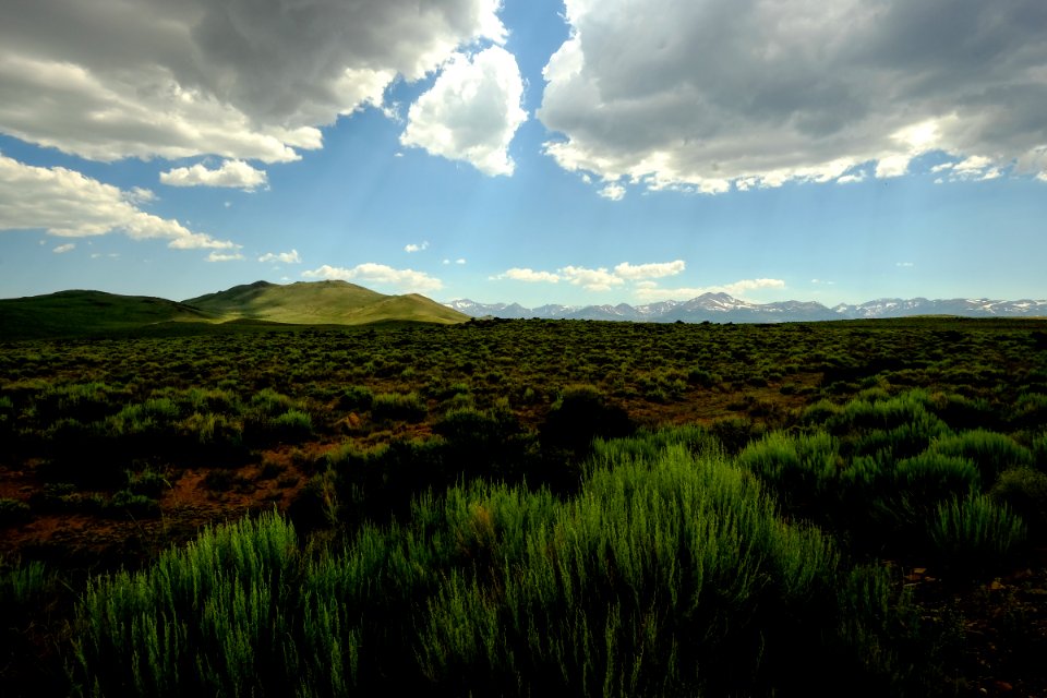 Bodie, United states