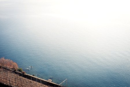 Paddlers, Paddle, Lake geneva photo