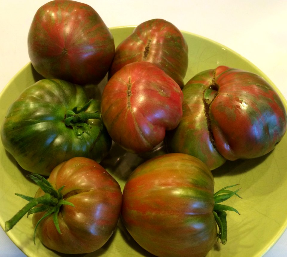 Allen, United states, Striped tomatoes
