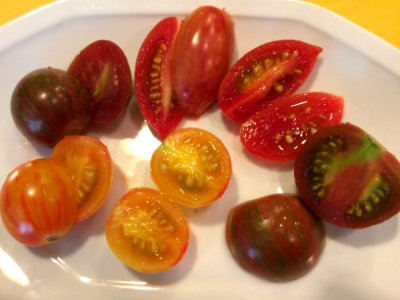 Allen, United states, Sunrise bumble bee tomato