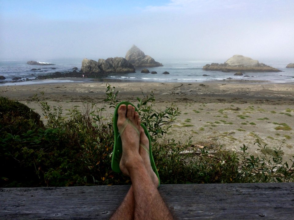 Brookings, United states, Fog on the beach