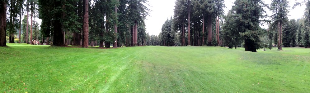 Northwood golf club, Monte rio, United states