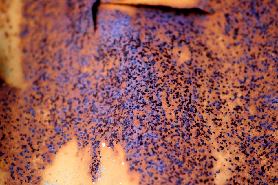 Pattern, Orange, Red
