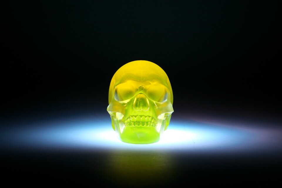 Skull sculpture glass