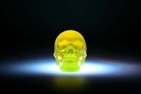 Skull sculpture glass photo